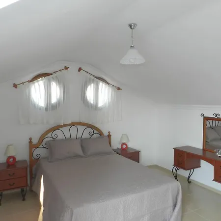Villa New Age Ekin *